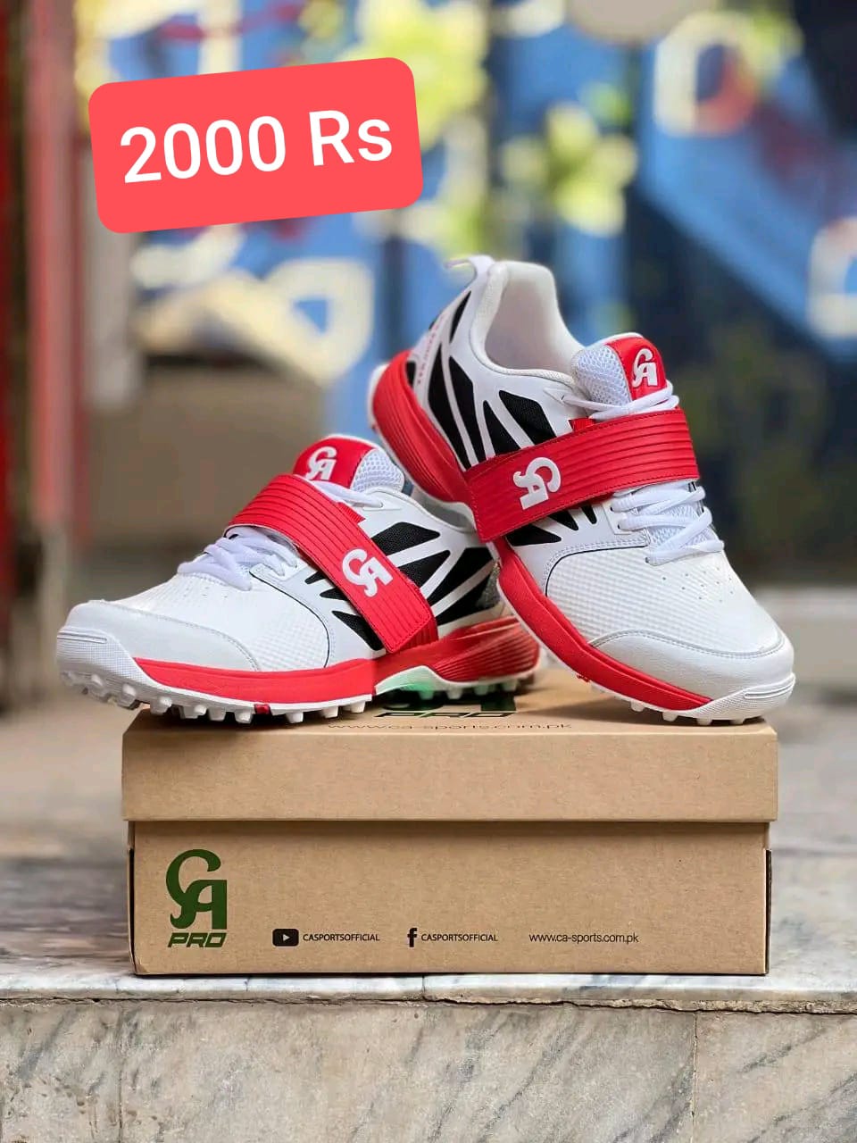 SHAHID SPORTS/JOGGERS/MENS