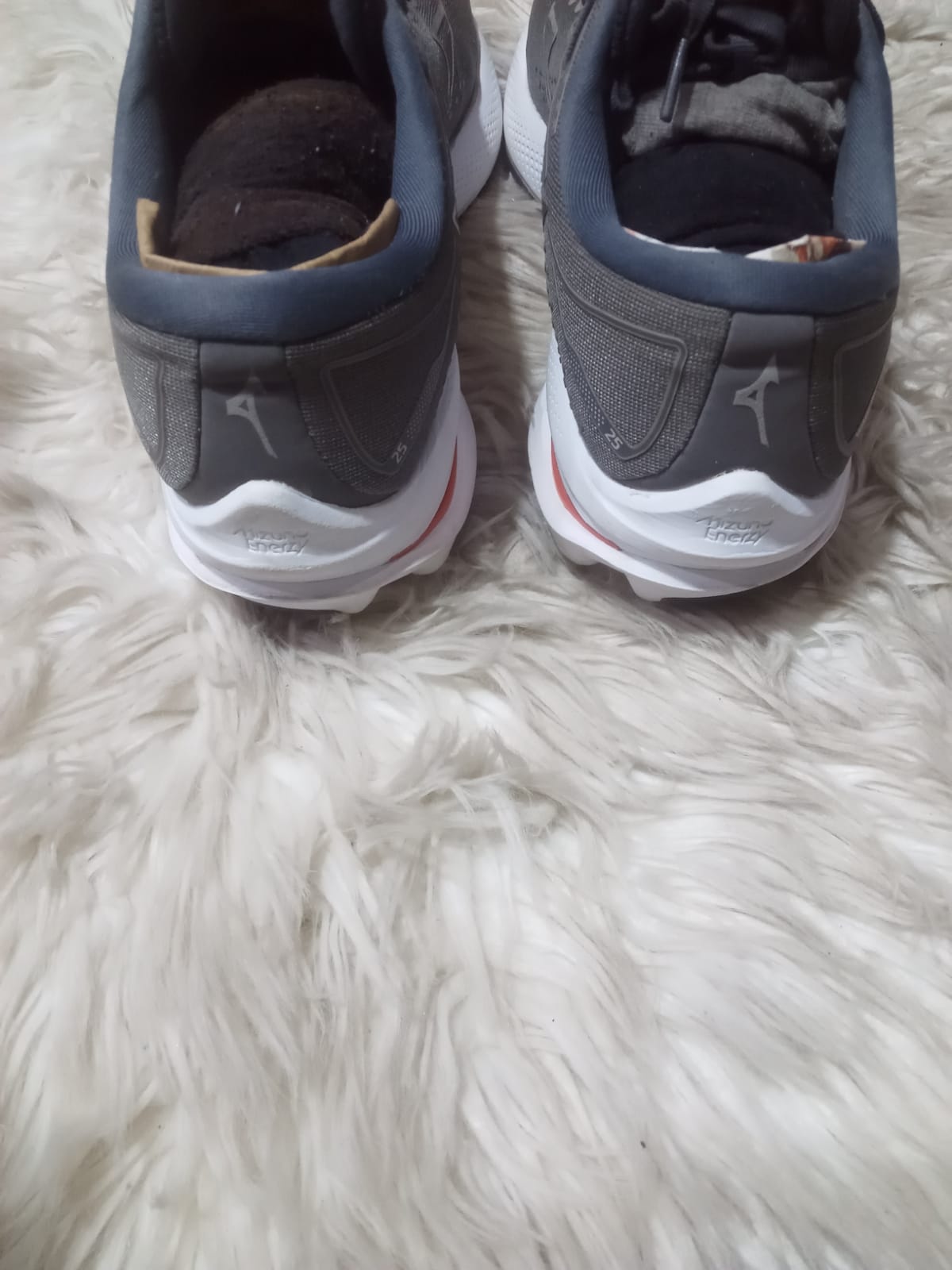 Mizuno WAVE shoes sports men’s