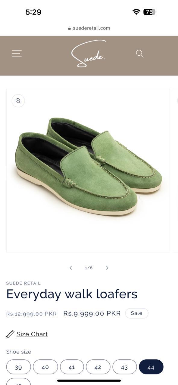 Men’s Loafers shoes