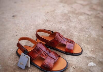 WhatsApp-Image-2025-04-13-at-05.14.10_71aefea1