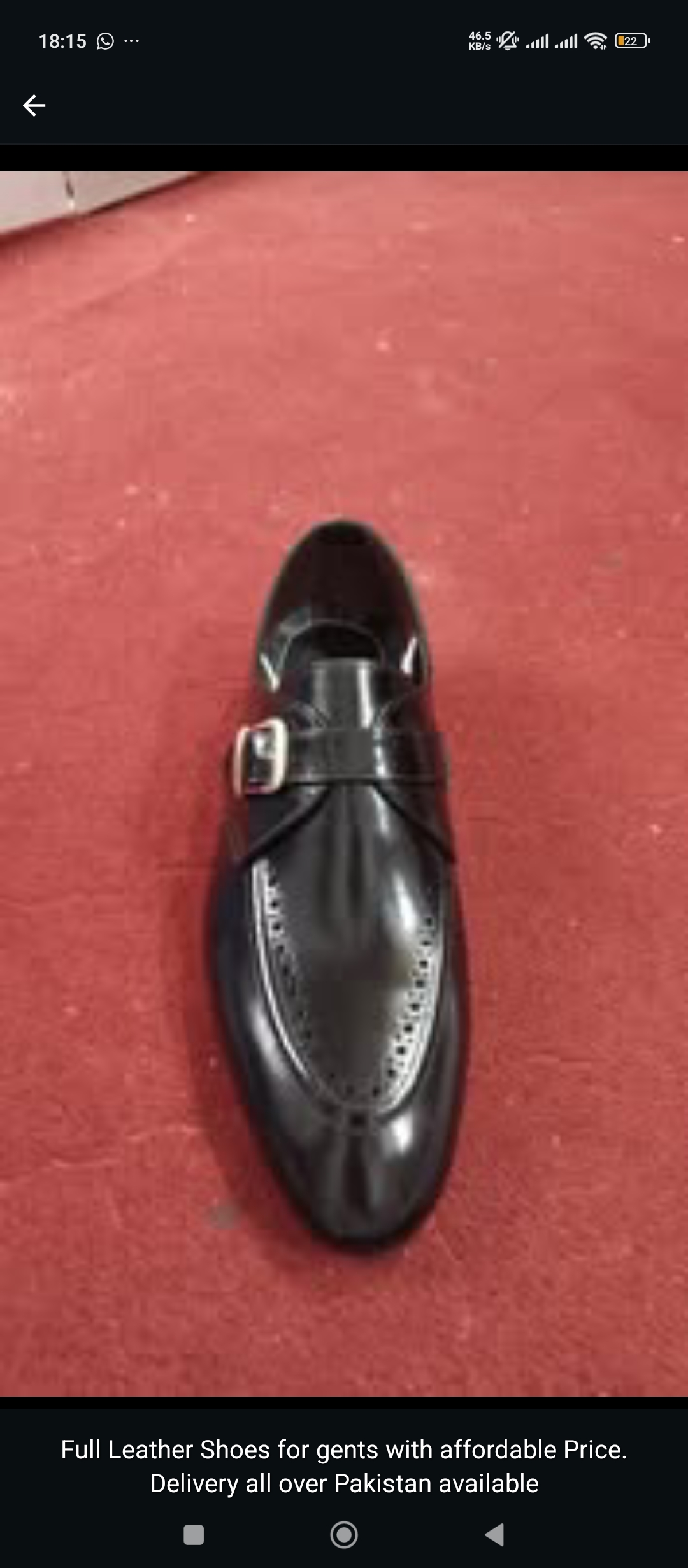Men’s loafers