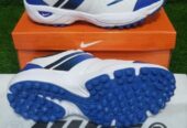 Cricket sports Shoes men’s