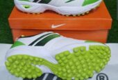 Cricket sports Shoes men’s