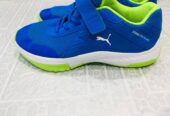 Puma shoes mens womens joggers