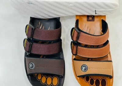 506714669_1186774283248645_5189989426754318022_n