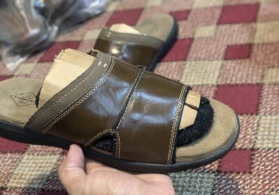 515009999_2262173920903875_5255548571242577866_n