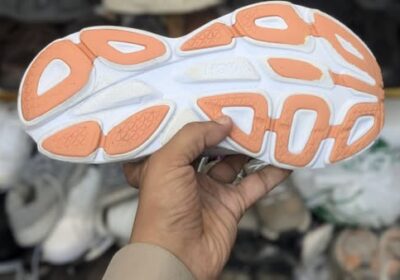 515041418_2260610977726836_8601860531866630955_n