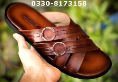 516586538_1209549551184104_665198739638695759_n