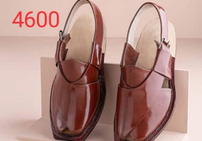 521ae564-dd70-4fee-b5ab-9fbad4fd180b