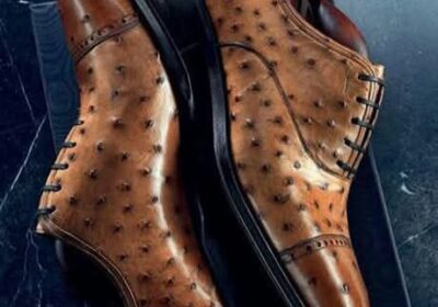 954ff04b-0619-41bb-9b16-cf0ff5662f34