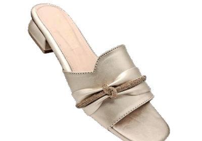 WhatsApp_Image_2025-01-23_at_5.28.16_AM-removebg-preview