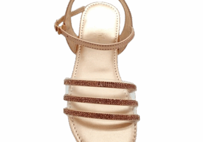 WhatsApp_Image_2025-02-14_at_7.54.25_AM__1_-removebg-preview