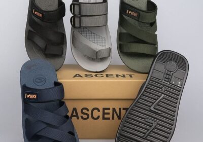 f9bb86b3-7c35-4373-a7b1-d2bb186f34e0