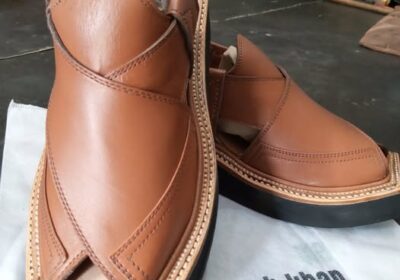 117951972_639147123399469_6501982263239738819_n