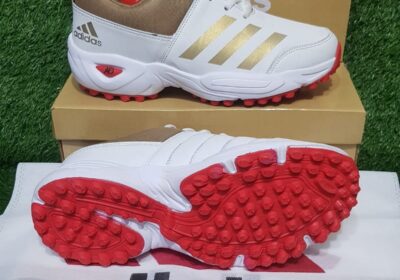 FB_IMG_1761915323424