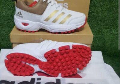 WhatsApp-Image-2025-10-06-at-11.29.09_7dcdafa9