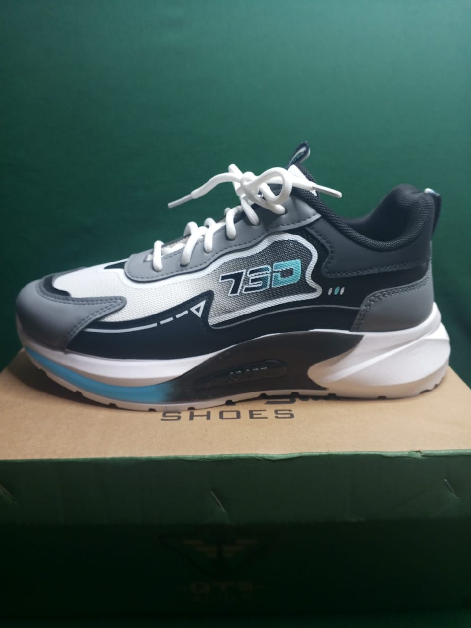 mens sneakers shoes