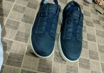 WhatsApp-Image-2025-10-24-at-16.00.01_e8ebecb2