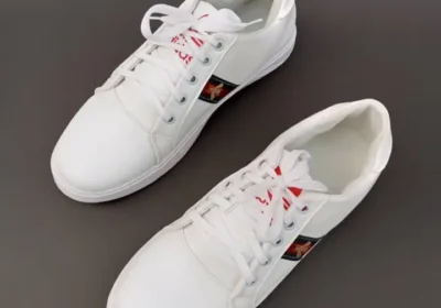 88d305c6e155c90d46ee2bb84727c664