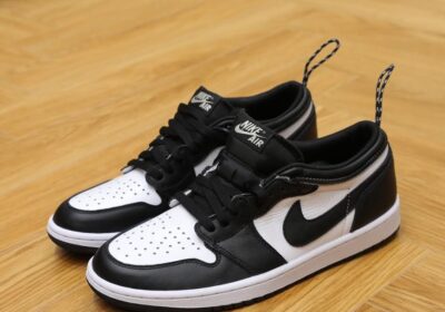 WhatsApp-Image-2025-10-16-at-11.21.26_d5cc3599